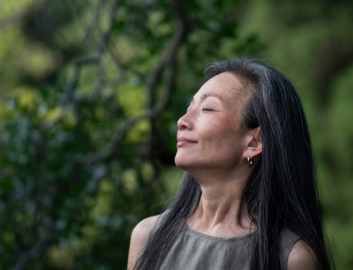 Spring Boosts Your Energy and Restores Emotional Wellness, But How?